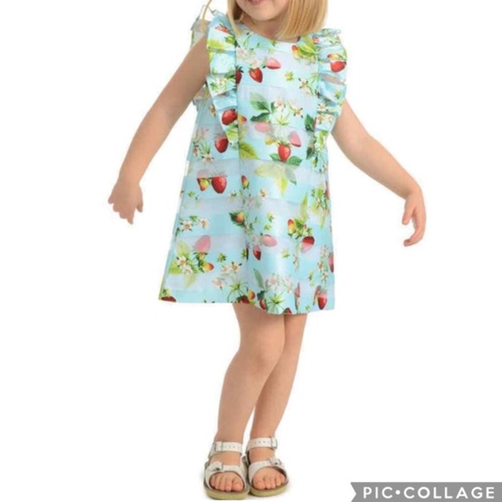 Pippa & Julie Pastourelle Girls Strawberry organza Ruffle Shift Dress Size 8